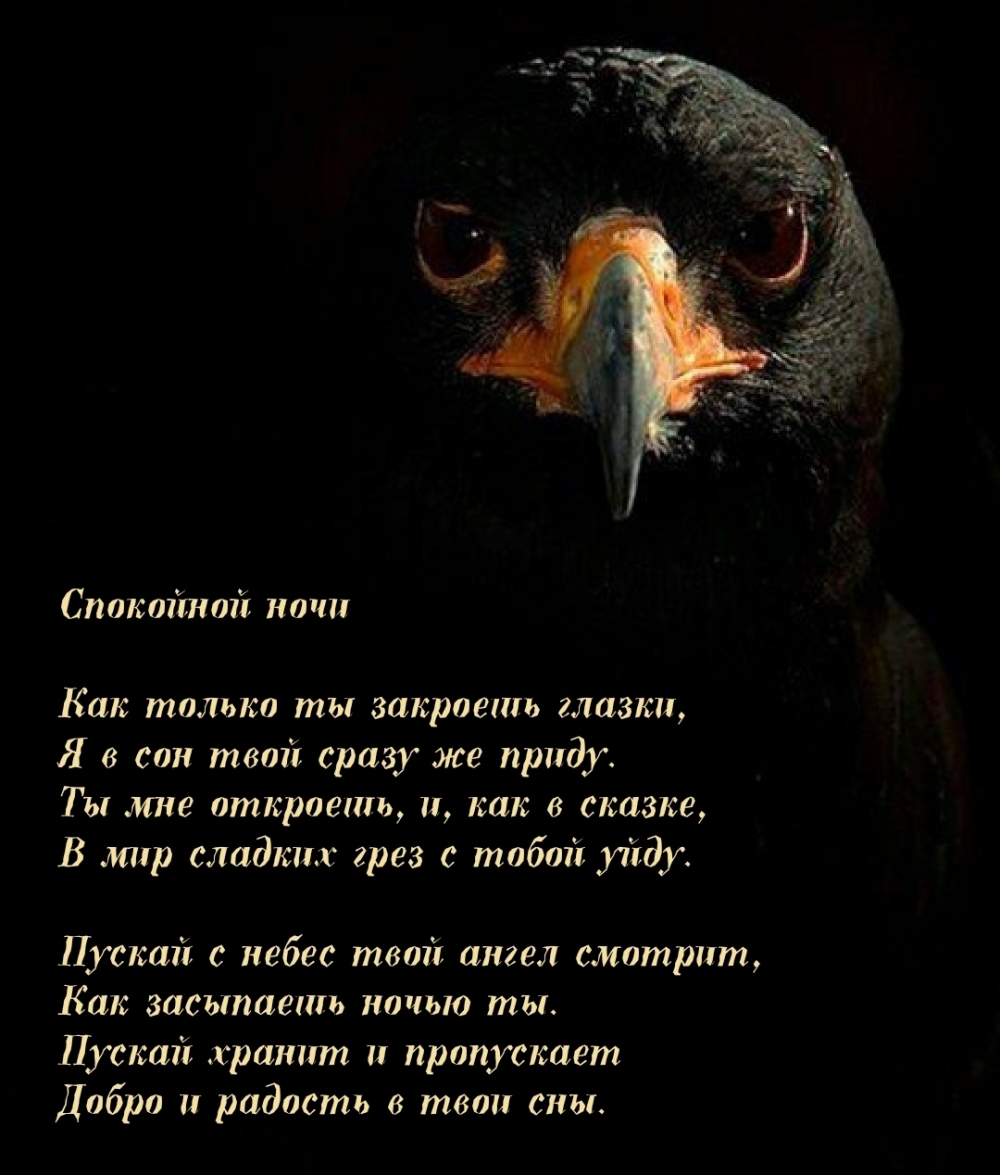 Спокойной ночи! Стихотворение