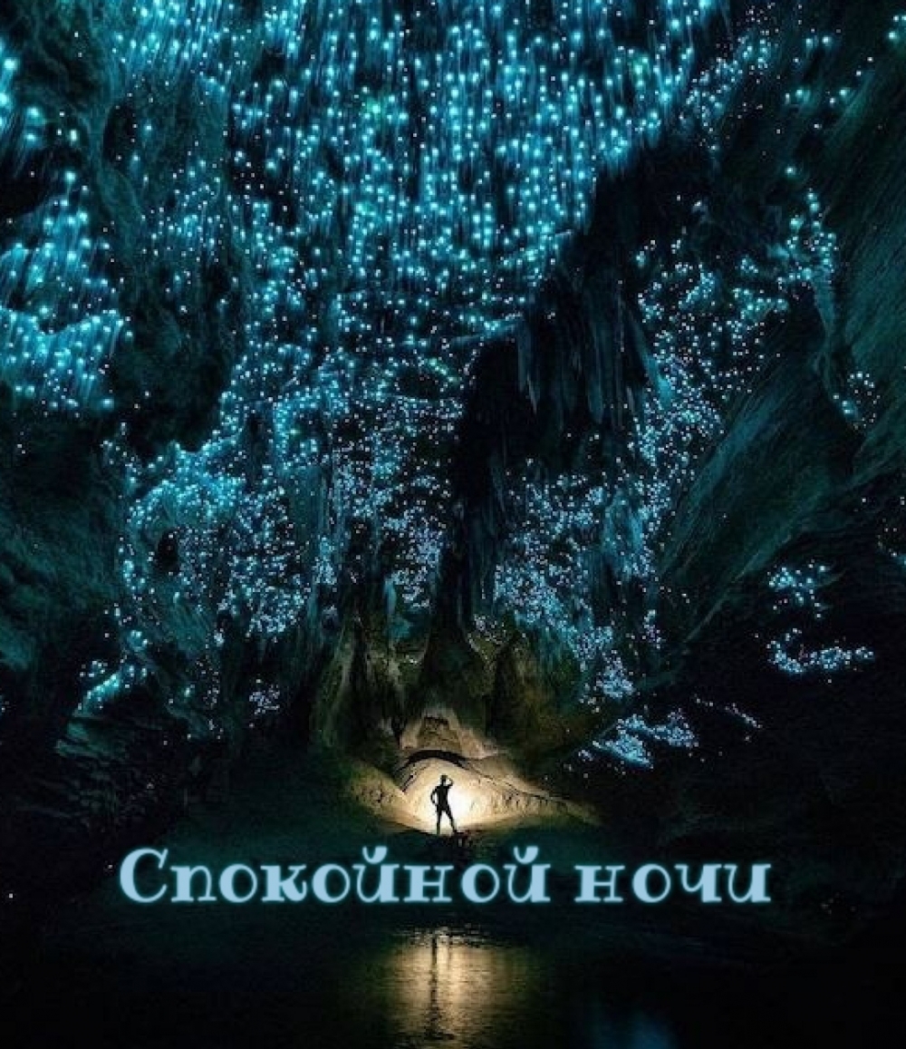 Спокойной ночи