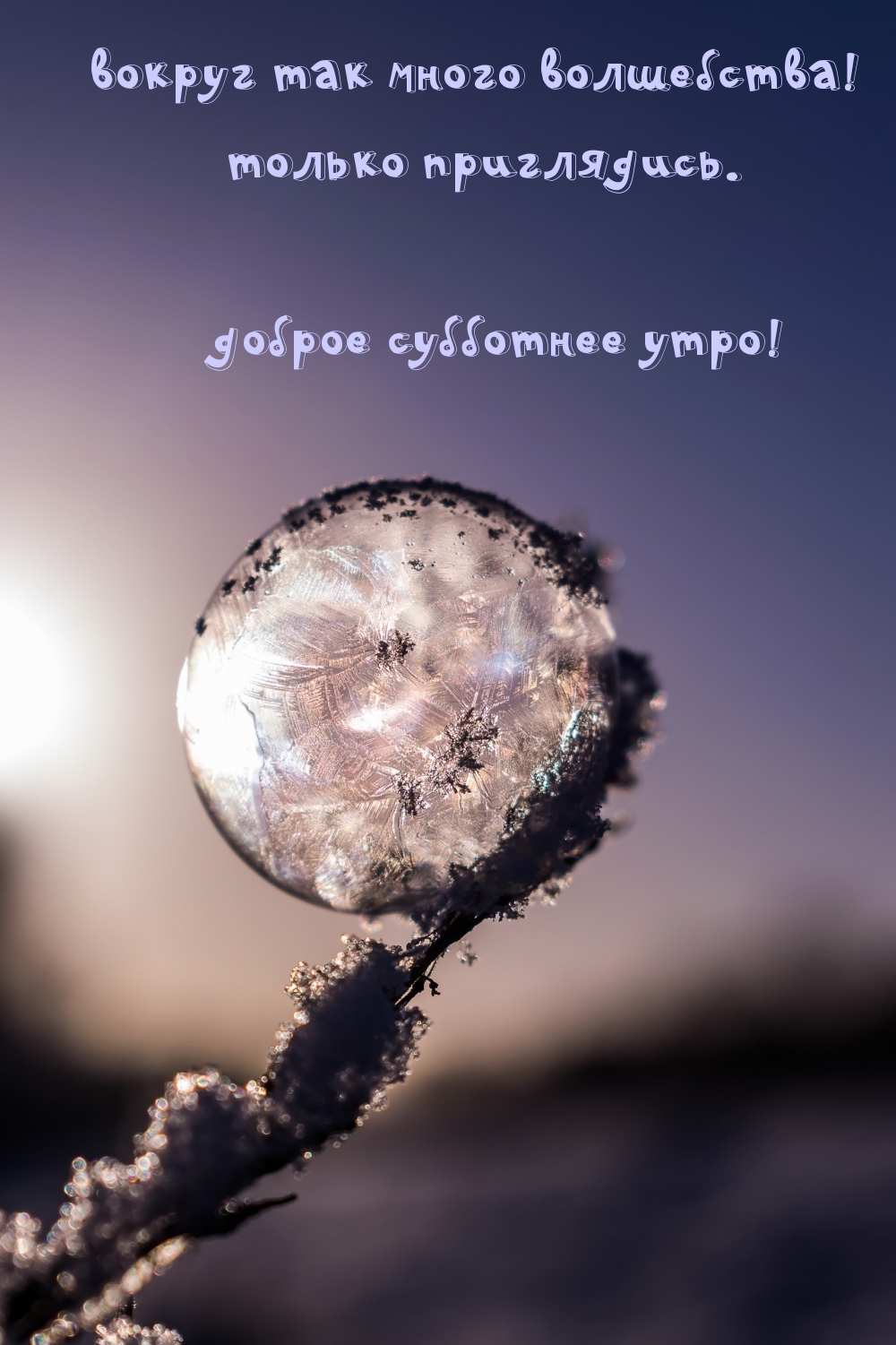 вокруг так много волшебства! доброе субботнее утро!