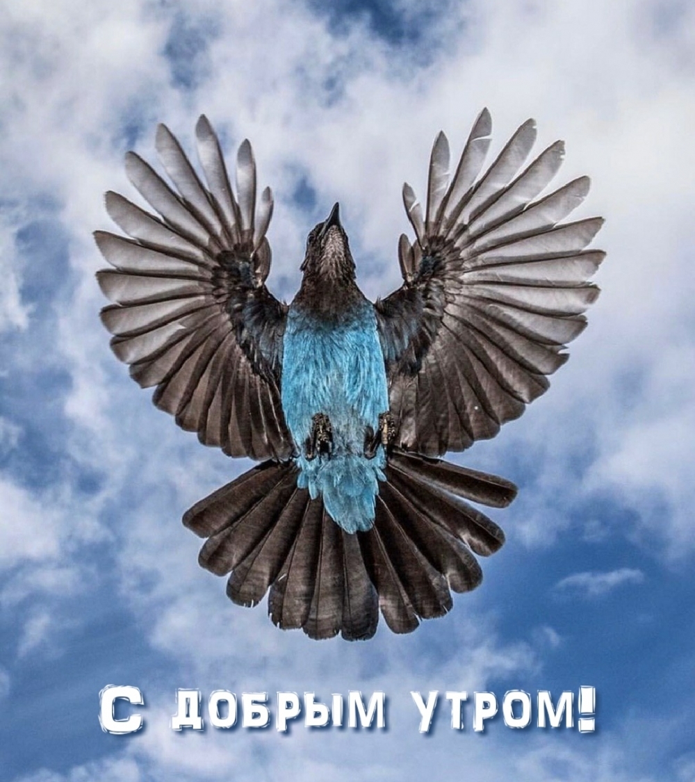 С добрым утром!