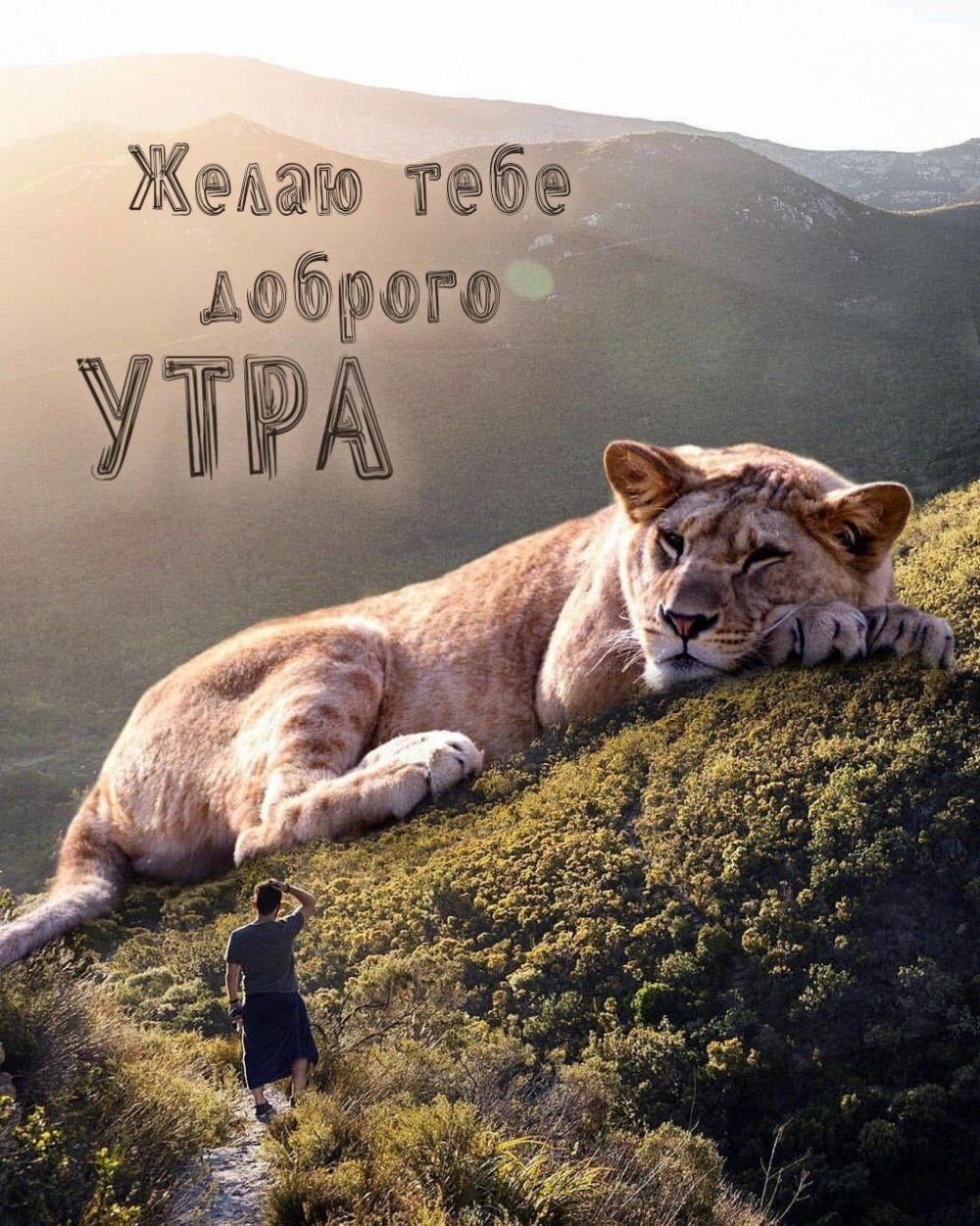 Желаю тебе доброго утра