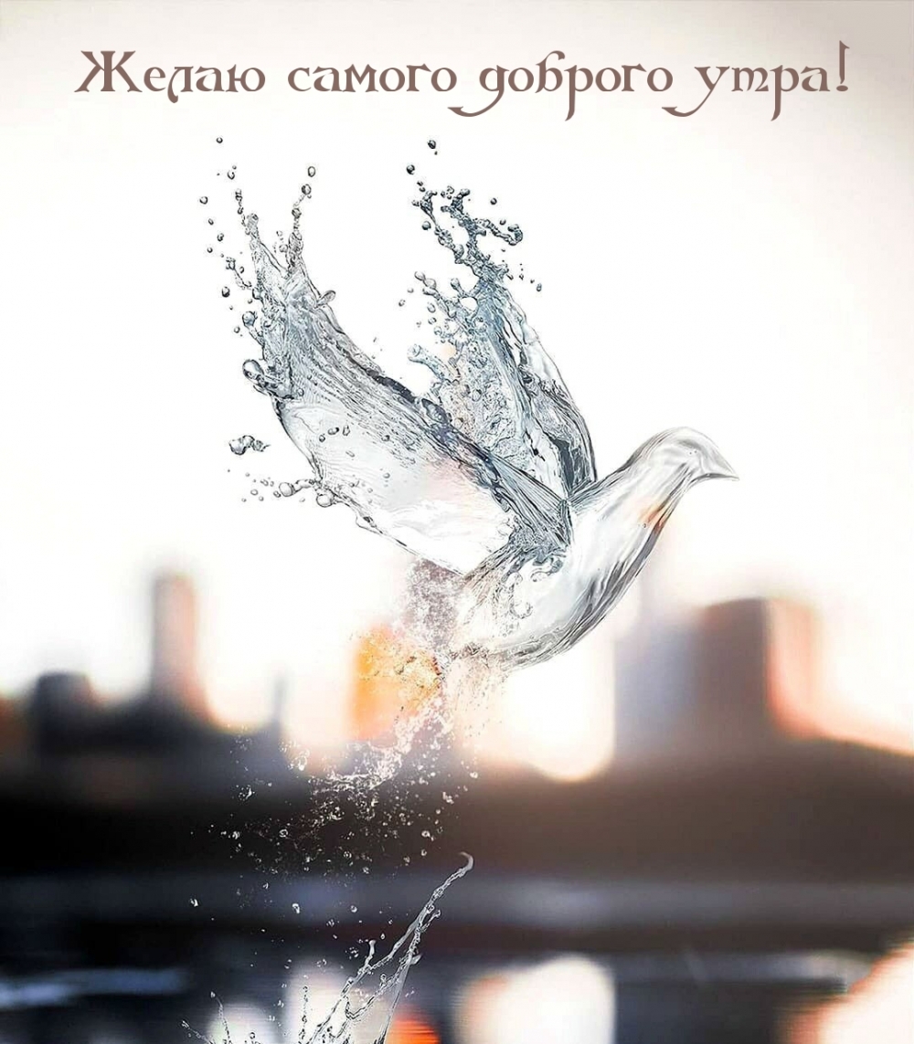 Желаю самого доброго утра!
