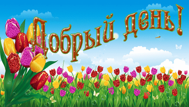 Добрый день! Поле из цветов
