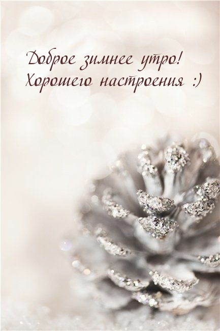Доброе зимнее утро! Хорошего настроения :)