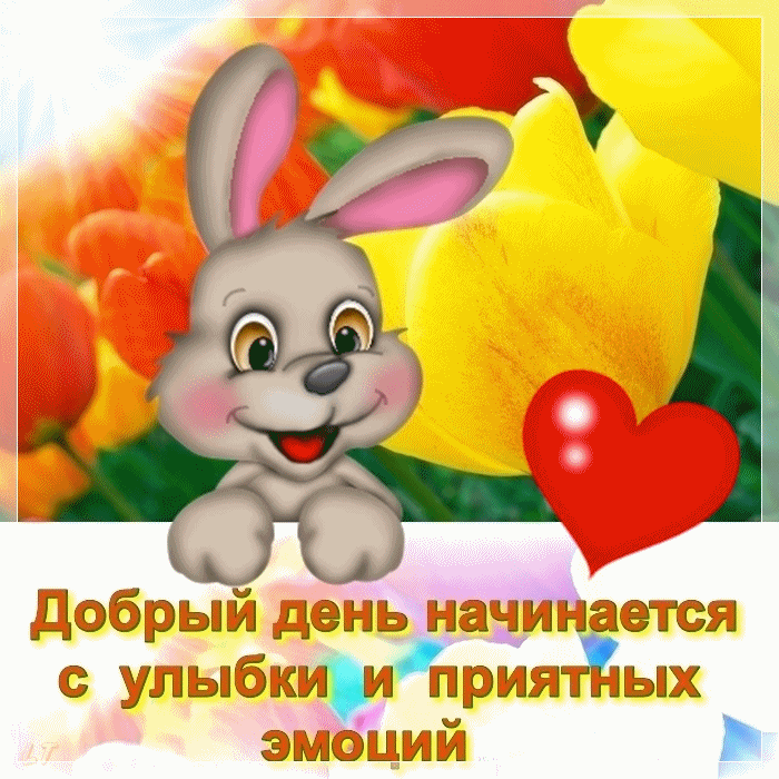 Добрый день начинается с улыбки и приятных эмоций