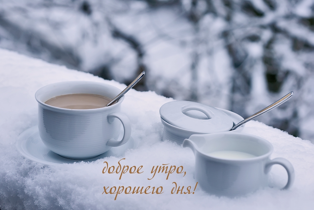 доброе утро, хорошего дня!