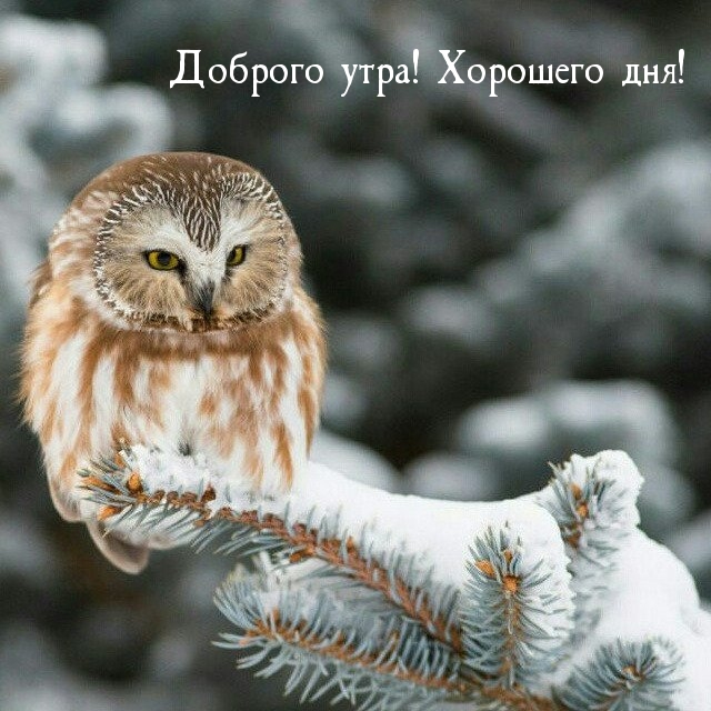 Доброго утра! Хорошего дня!