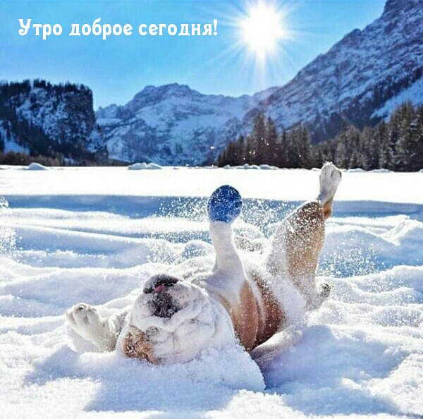 Утро доброе сегодня!