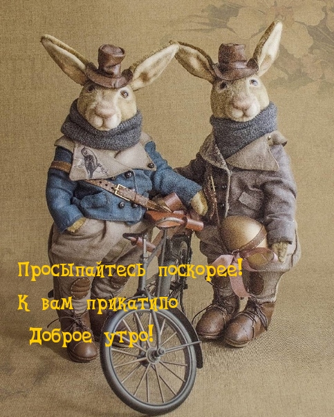 Просыпайтесь поскорее! К вам прикатило Доброе утро!