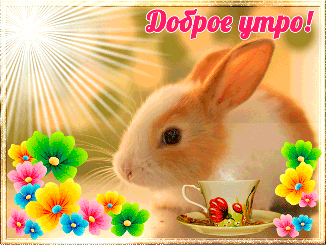 Доброе утро!