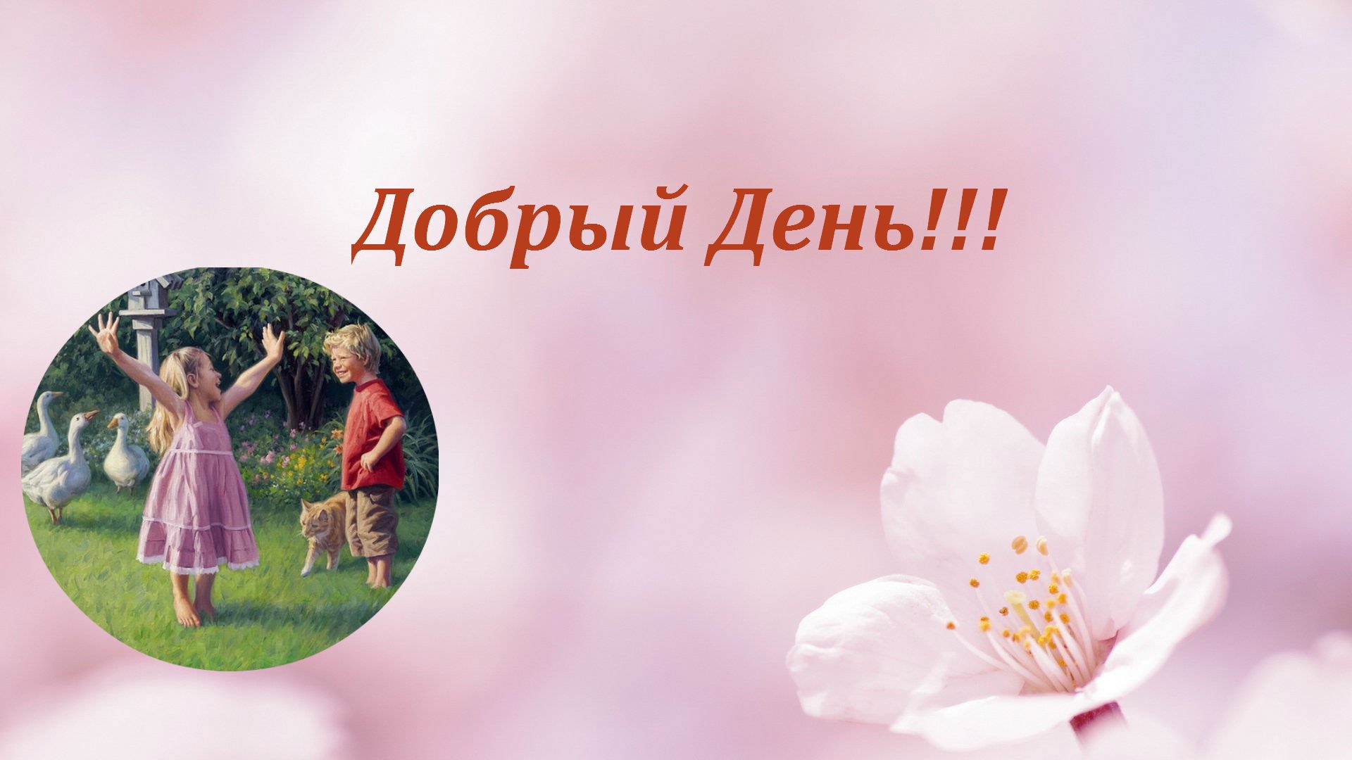 Добрый день!