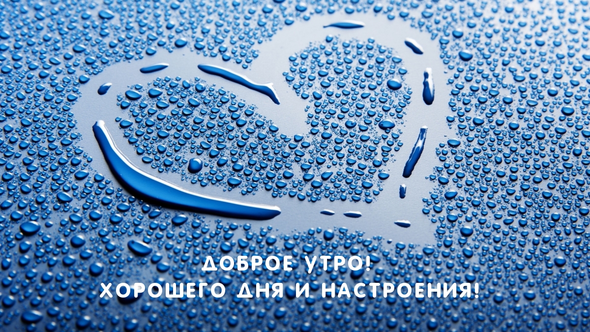 Доброе утро! Хорошего дня и настроения!
