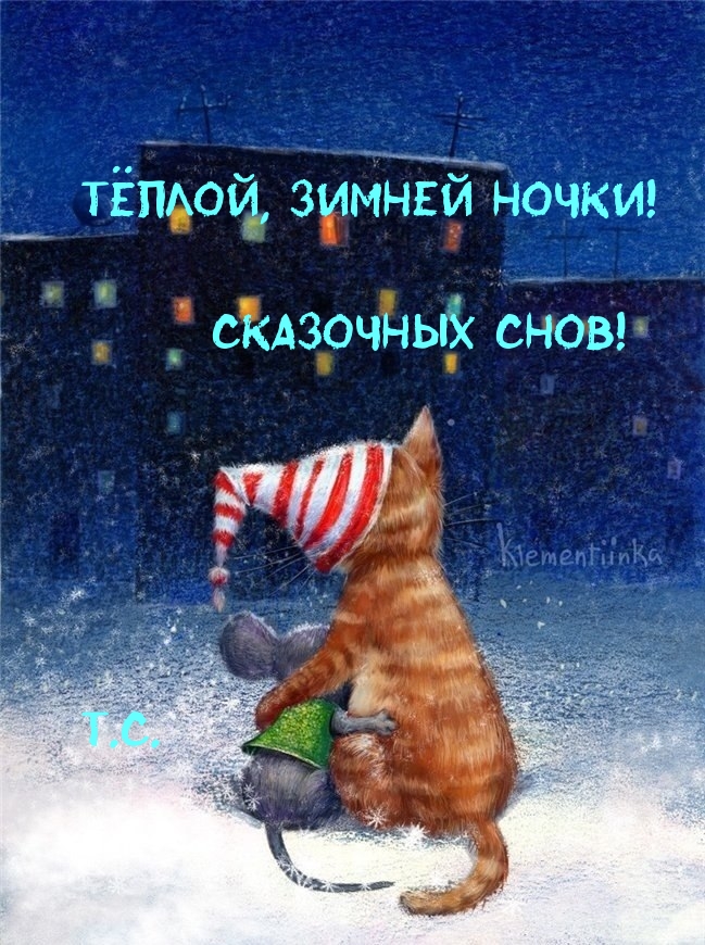 ТЁПЛОЙ, ЗИМНЕЙ НОЧКИ!