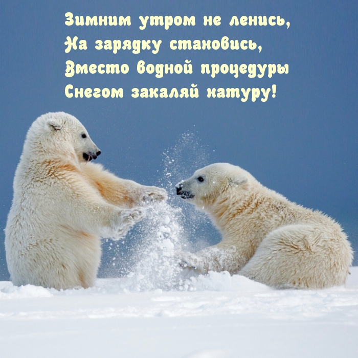 Зимним утром не ленись! Стишок