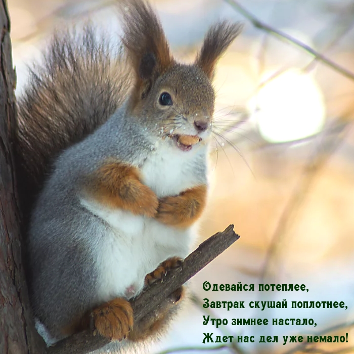 Одевайся потеплее, Завтрак скушай поплотнее,!