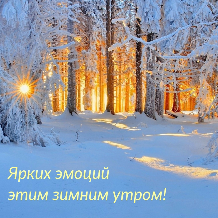 Ярких эмоций этим зимним утром!