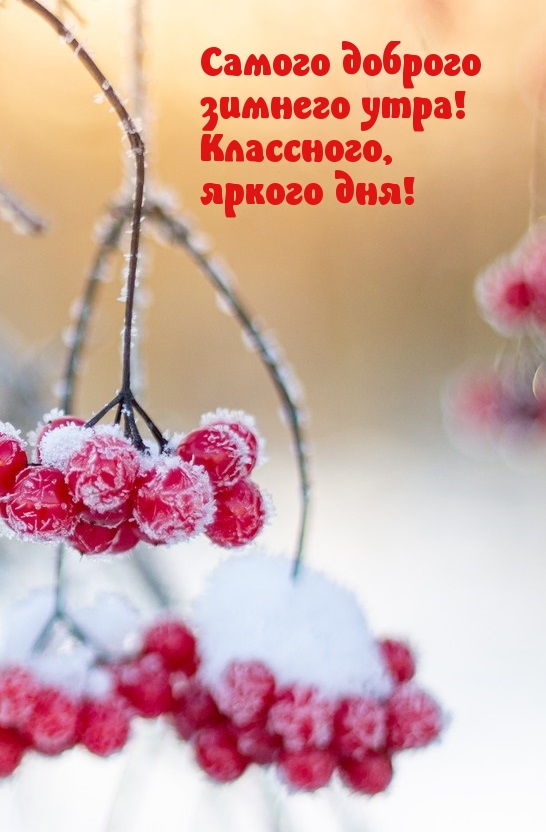 Самого доброго  зимнего утра!