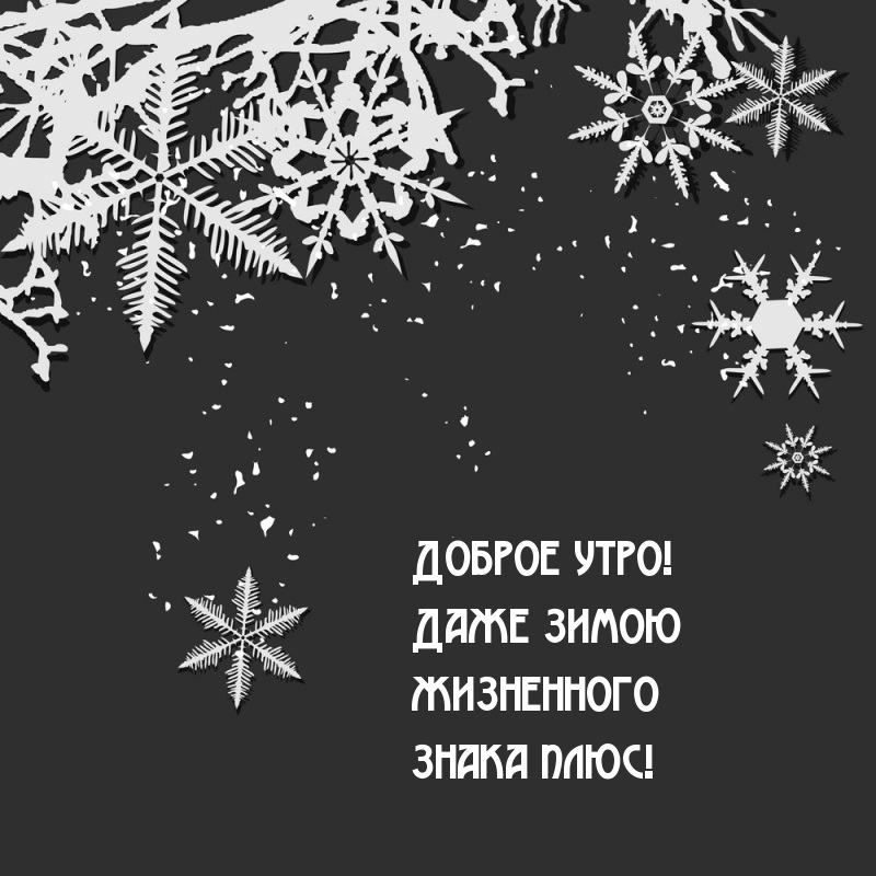 Доброе утро! Даже зимою жизненного знака плюс!