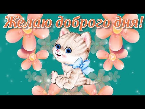 Желаю доброго дня!