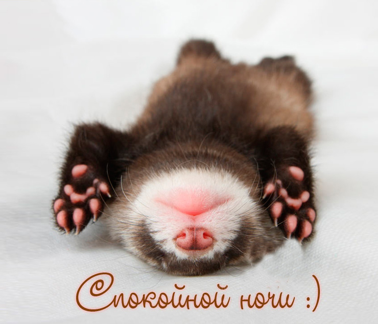 Спокойной ночи :)