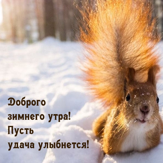Доброго зимнего утра! Пусть удача улыбнется!