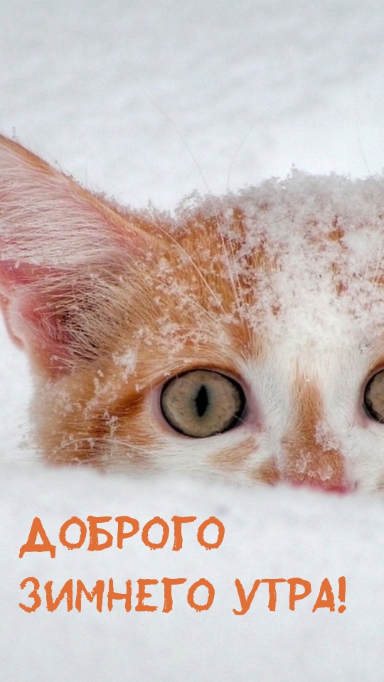 Доброго зимнего утра!