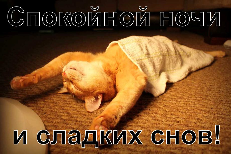 Спокойной ночи и сладких снов!