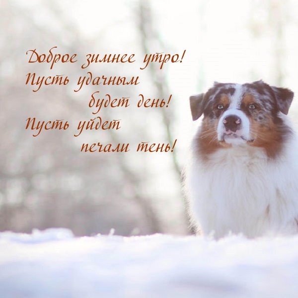 Доброе зимнее утро! Пусть удачным будет день!