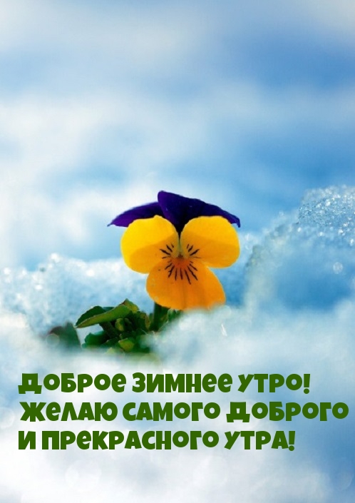 Желаю самого доброго и прекрасного зимнего утра!