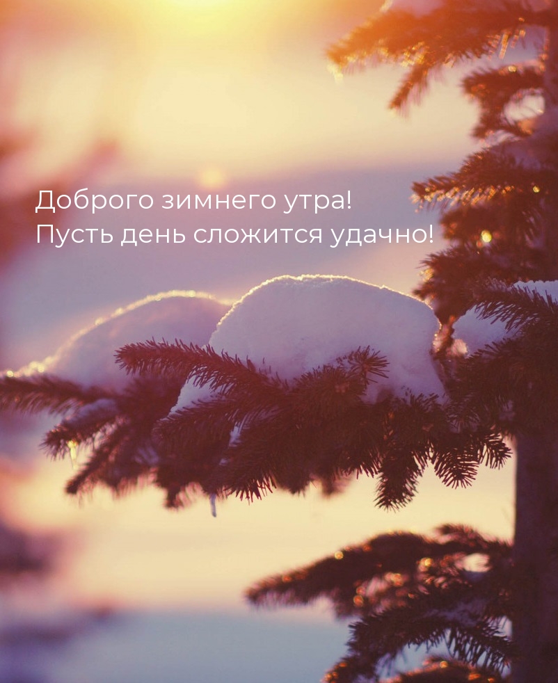 Доброго зимнего утра! Пусть день сложится удачно!
