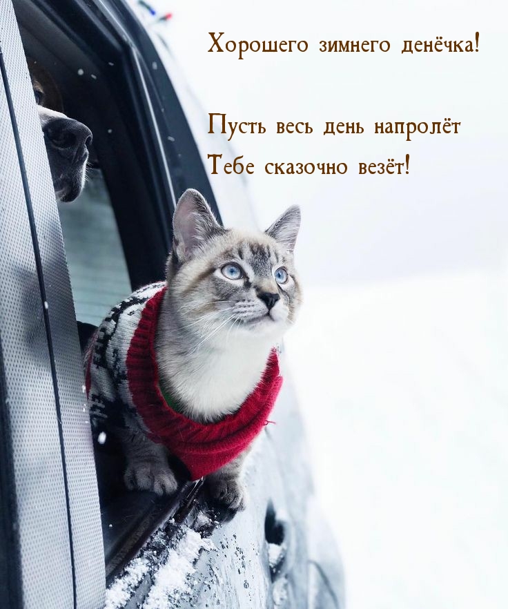 Хорошего зимнего денëчка!