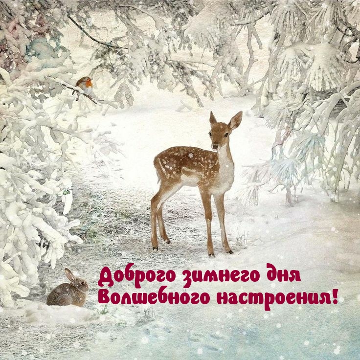 Доброго зимнего дня! Волшебного настроения!