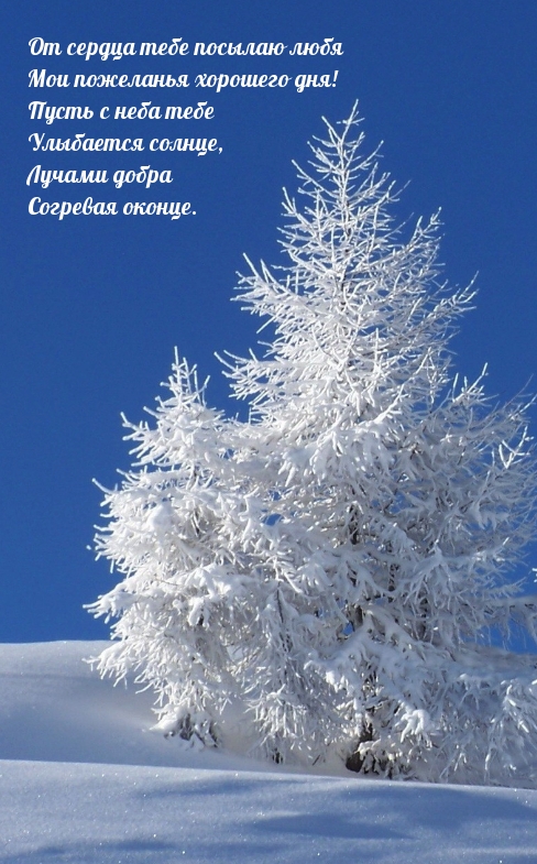 Мои пожеланья хорошего дня! От сердца и души