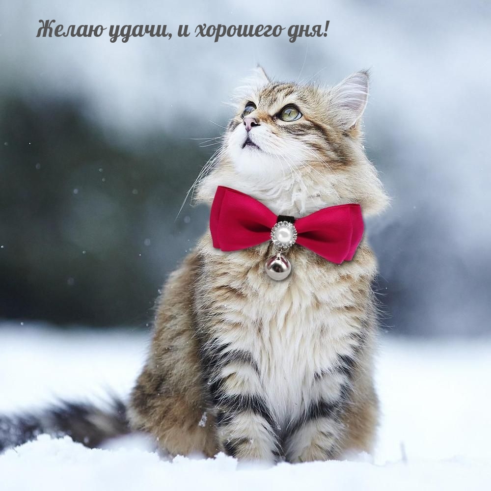 Желаю удачи, и хорошего дня!