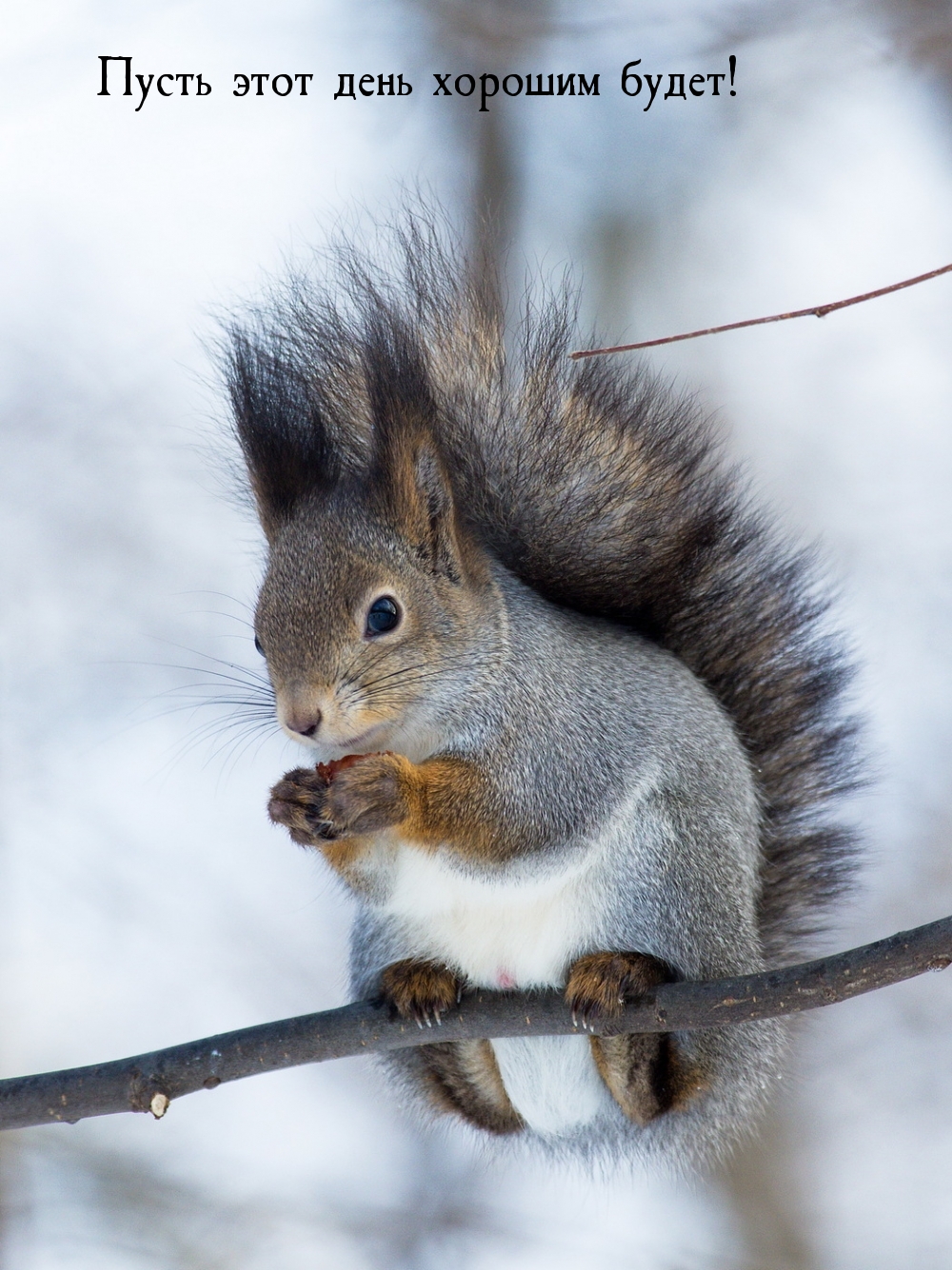 Пусть этот день хорошим будет!