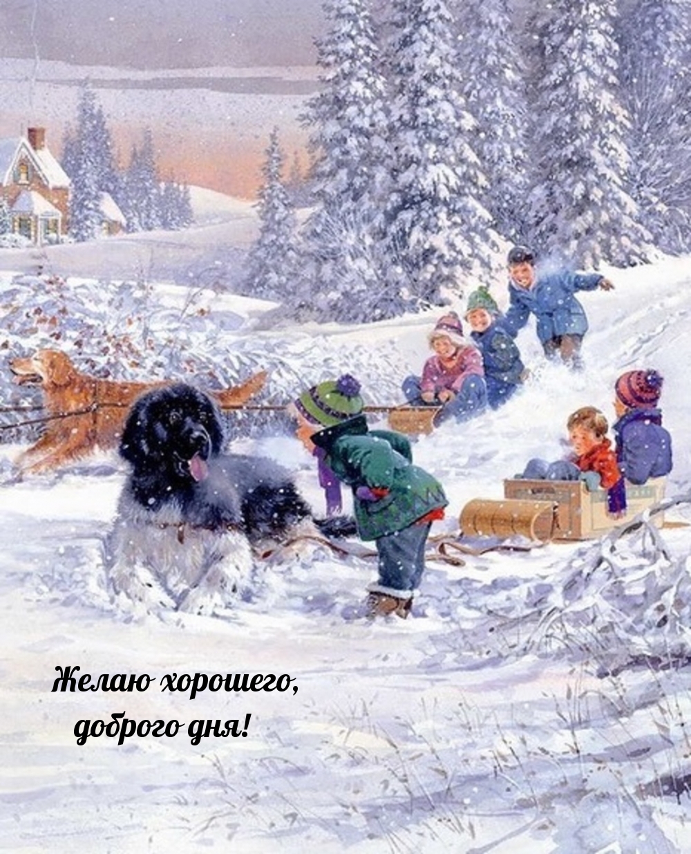Желаю хорошего, доброго дня!