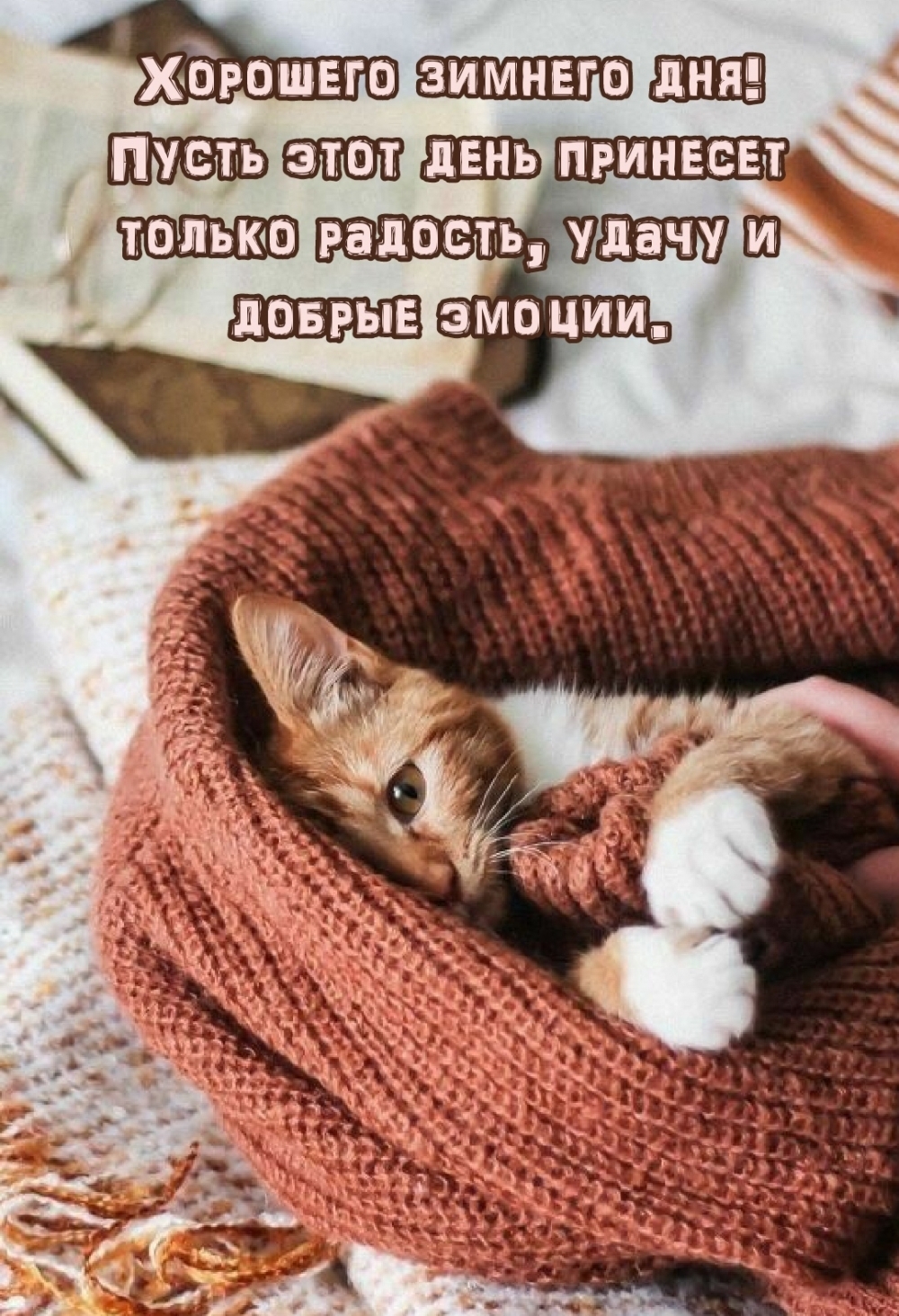 Хорошего зимнего дня! Пусть этот день принесет только радость и удачу!