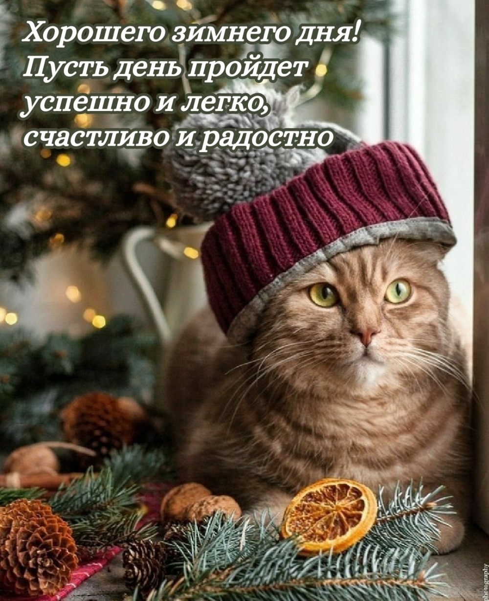 Пусть день пройдет успешно и легко, счастливо и радостно