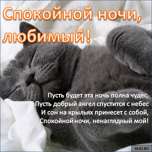 Спокойной ночи, любимый!