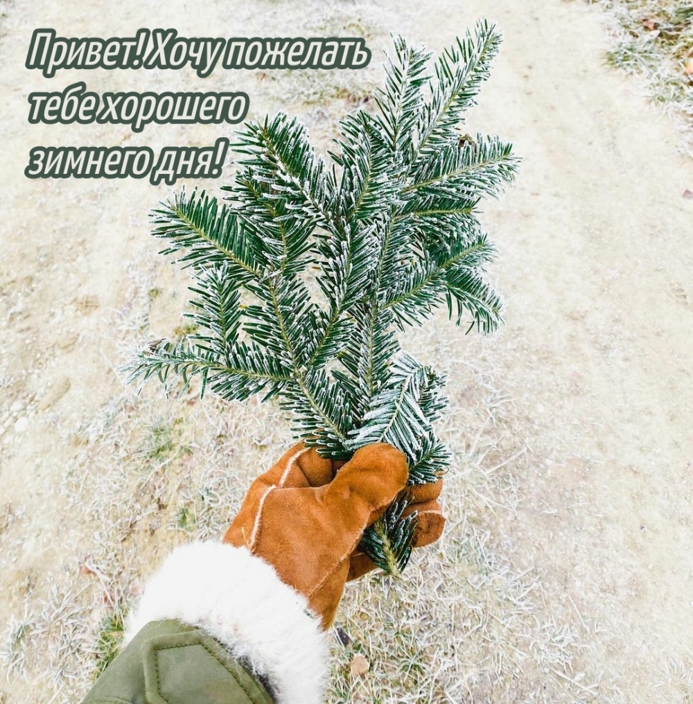 Привет! Хочу пожелать тебе хорошего зимнего дня!