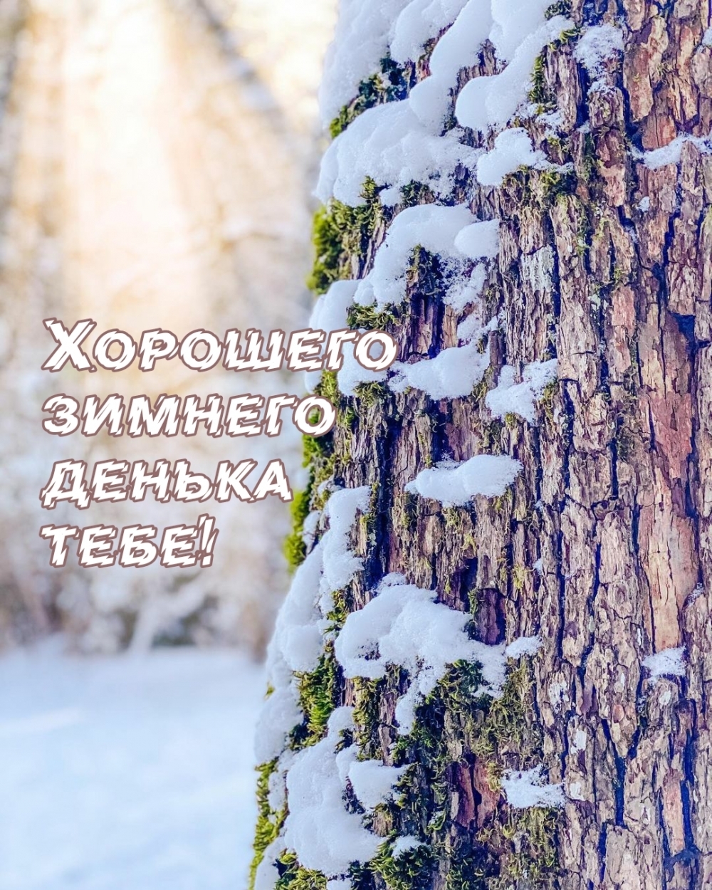 Хорошего зимнего денька тебе!