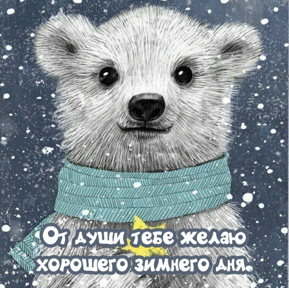 От души тебе желаю хорошего зимнего дня.