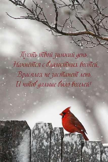 Пусть твой зимний день, Начнётся с благостных вестей