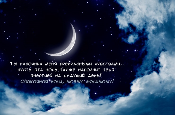 Спокойной ночи моему любимому!