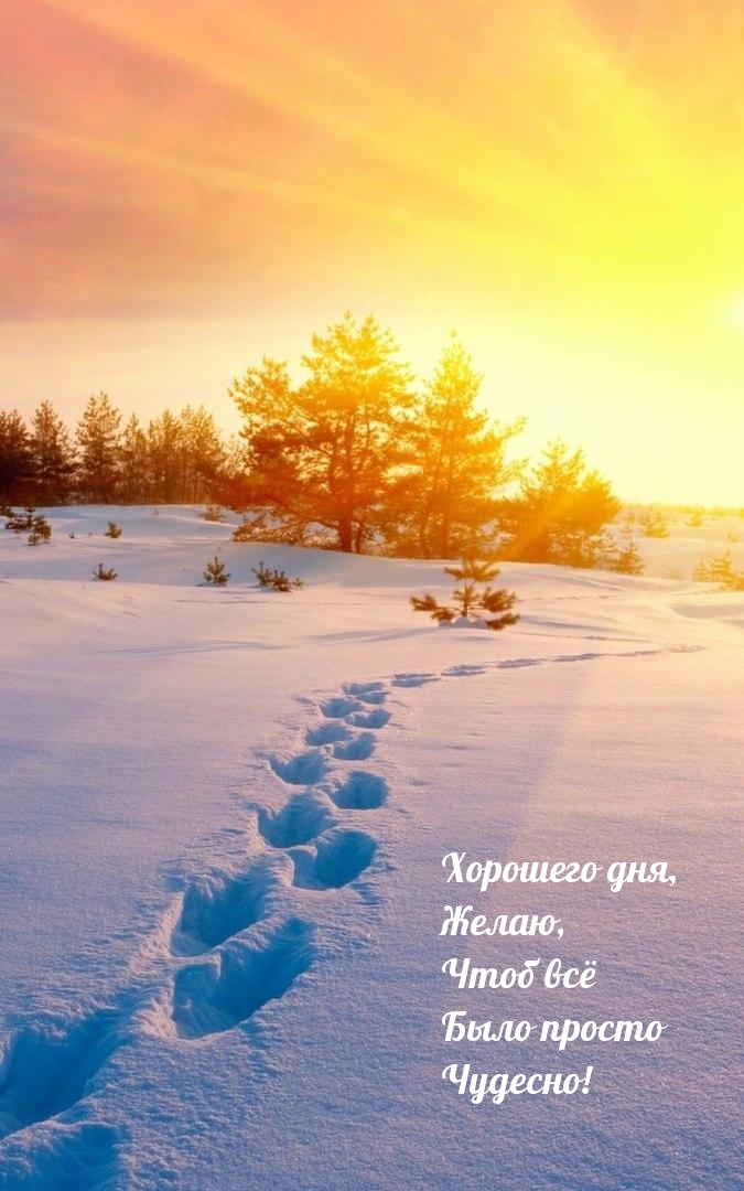 Хорошего дня, Желаю, Чтоб всё Было просто Чудесно!