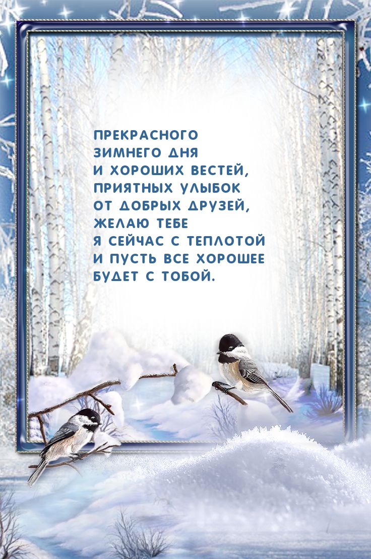 Прекрасного  зимнего дня  и хороших вестей!