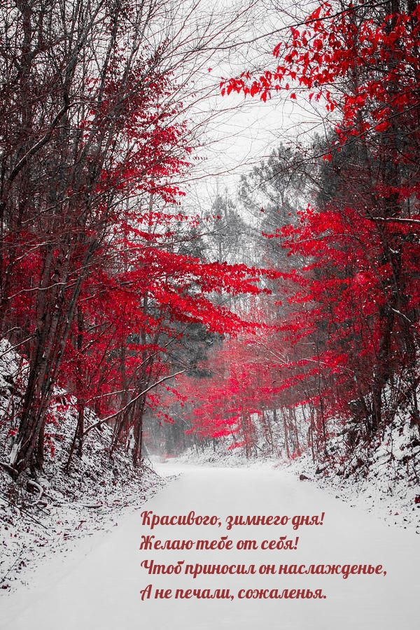 Красивого, зимнего дня! Желаю тебе от себя!
