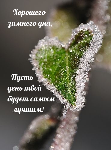 Пусть  день твой зимний  будет самым лучшим!