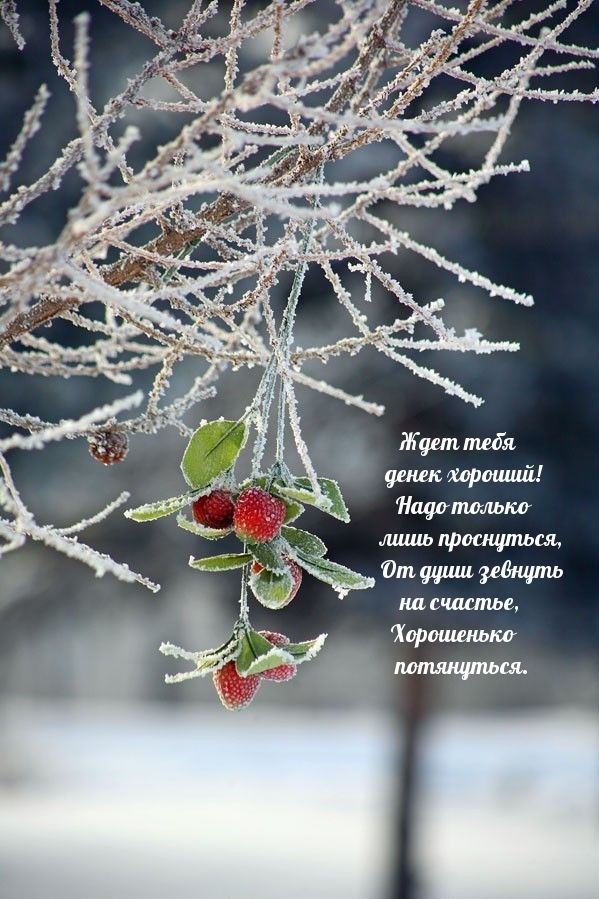 Ждет тебя денек хороший!