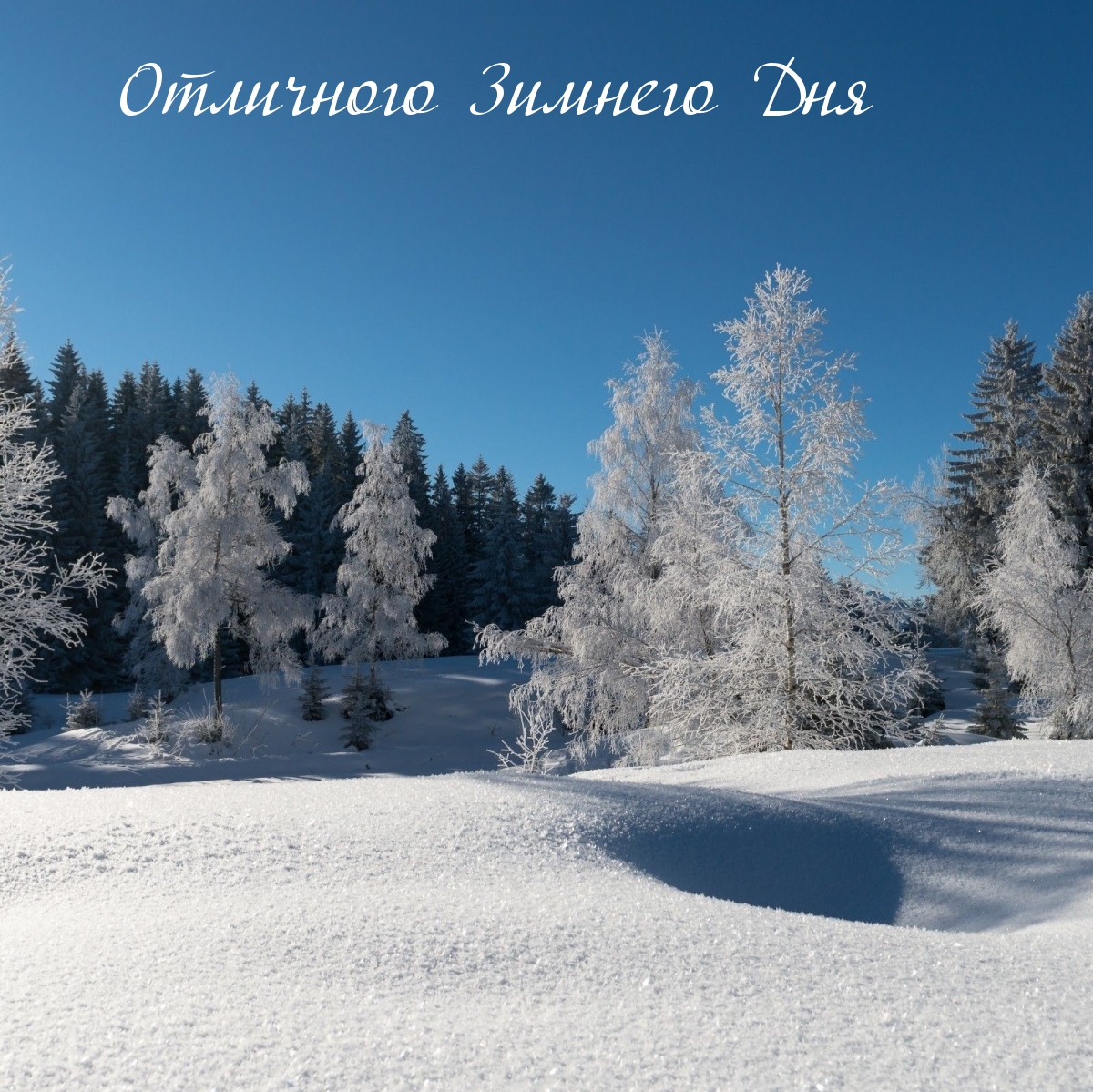 Отличного Зимнего Дня